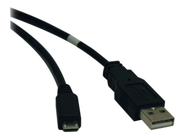 Tripp Lite USB 2.0 Reversible A/B Cable 6ft Tripp Lite
