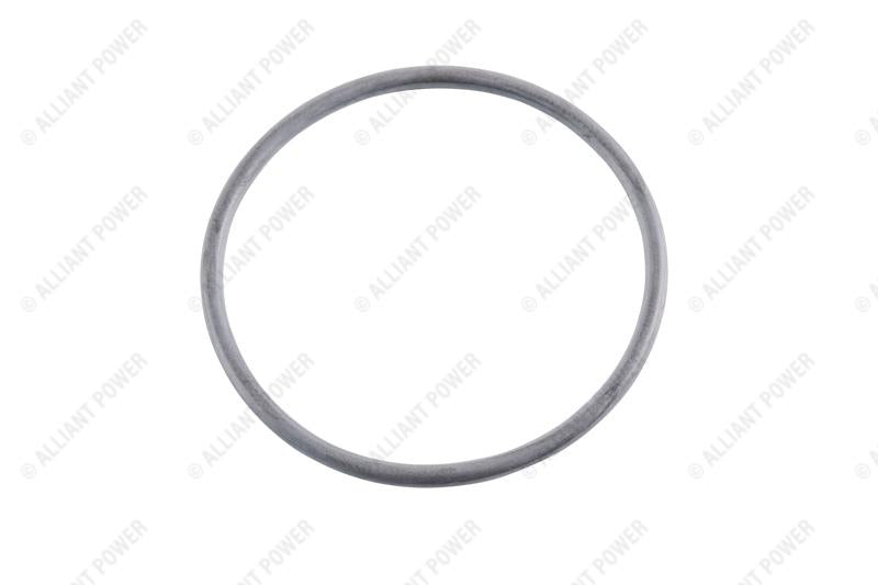 AP0042 Exhaust Gas Recirculation (EGR) Valve O-ring