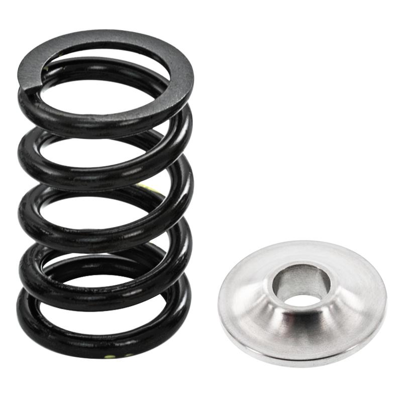 ZZP 82# Ecotec Valve Springs & Titanium Retainers