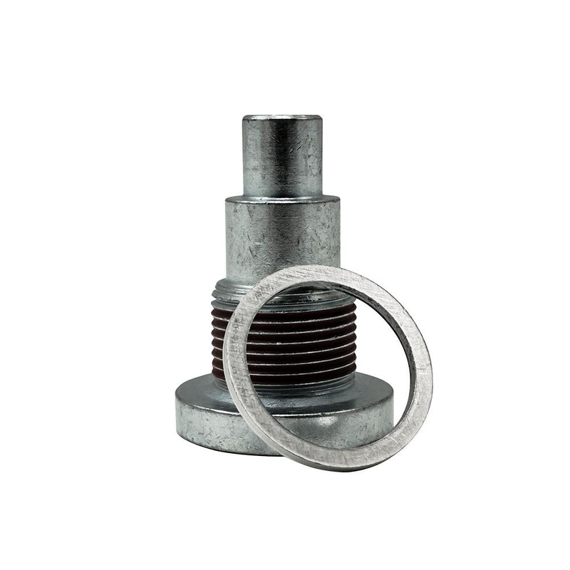 Ecotec Timing Chain Upper Guide Bolt