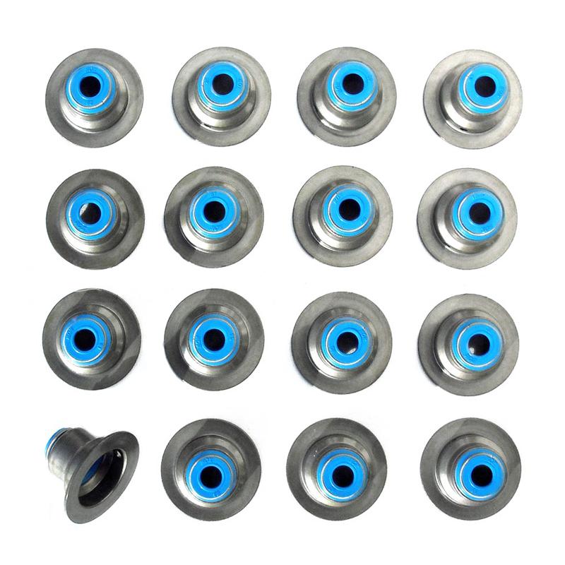 Ecotec Viton Valve Seals