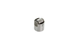 Fuel Pump Roller