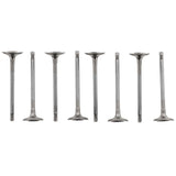 Individual Ecotec Valves