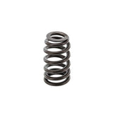 PAC Valve Springs