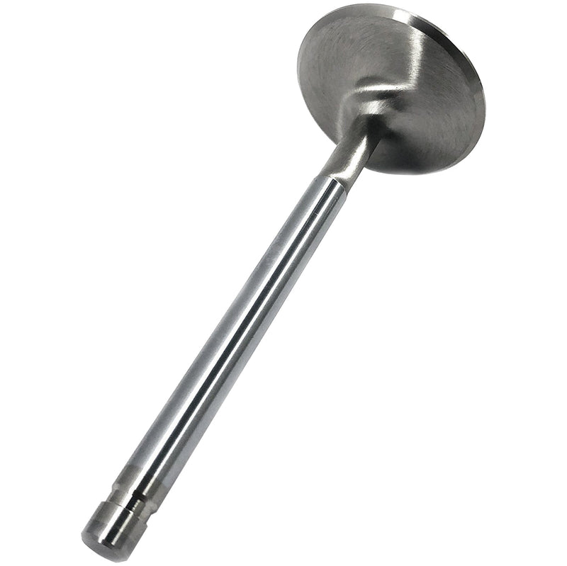 Stainless Intake Valves