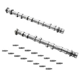 ZZP LTG Performance Cams