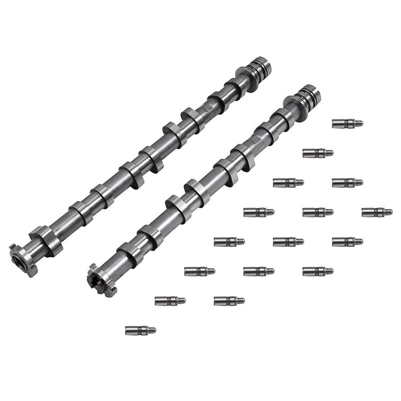 ZZP LTG Performance Cams