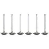 ZZP Stainless Valves