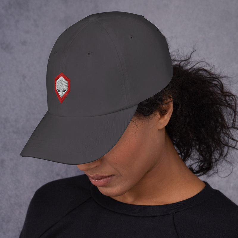 Brainiac Dad hat Workshop 12