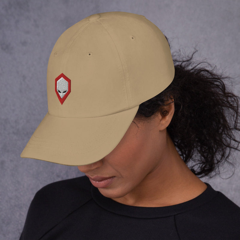Brainiac Dad hat Workshop 12