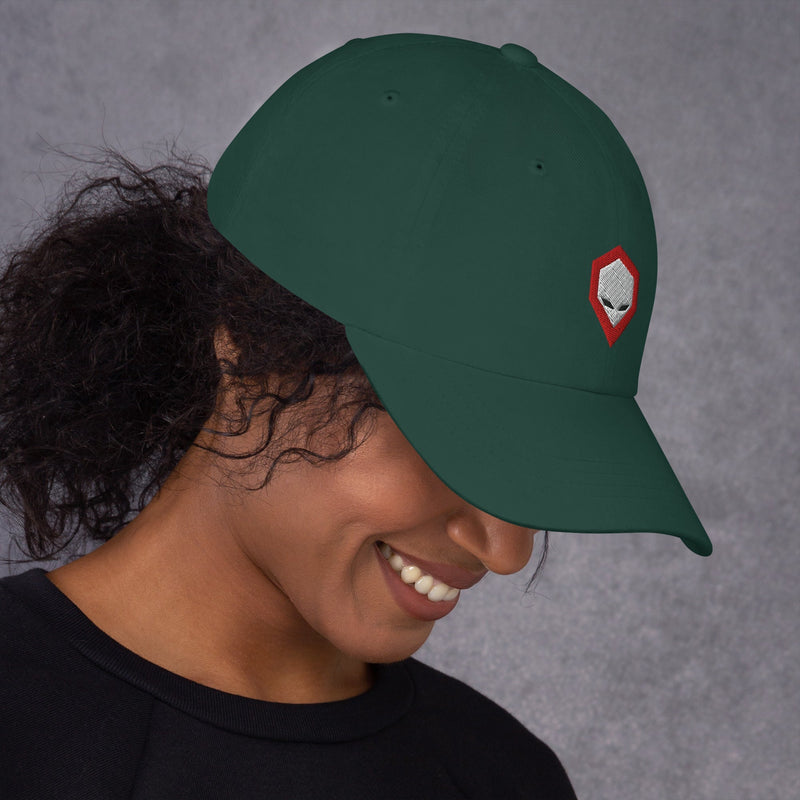 Brainiac Dad hat Workshop 12