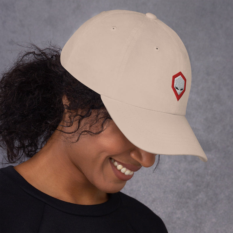 Brainiac Dad hat Workshop 12
