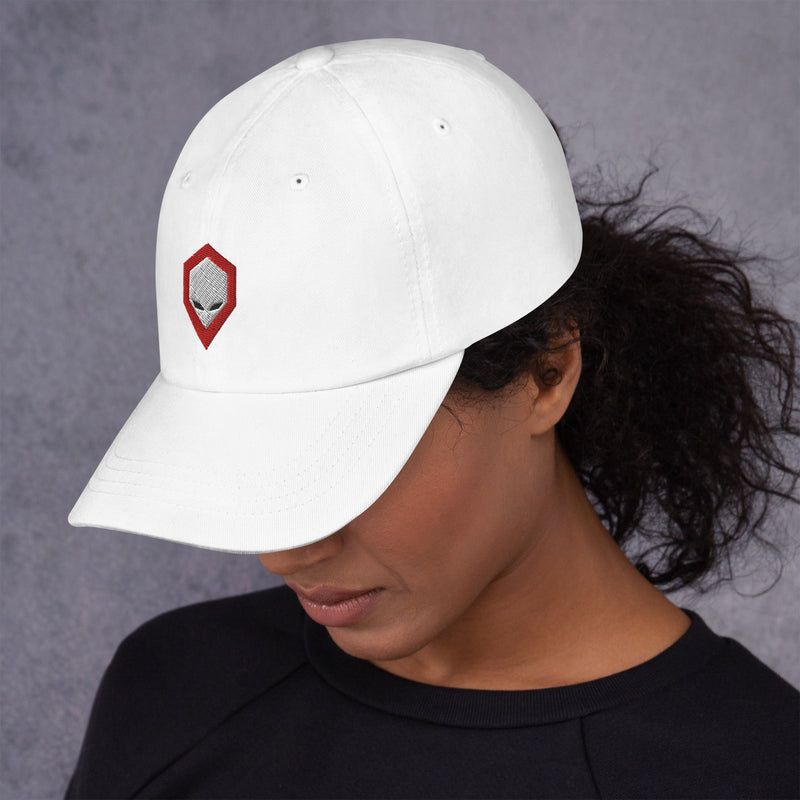 Brainiac Dad hat Workshop 12