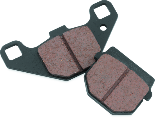 BikeMaster Kawasaki Brake Pads