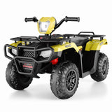 Electric 4-Wheeler Quad for Kids with 12V Battery and 2X30W Motor, USB Compatible