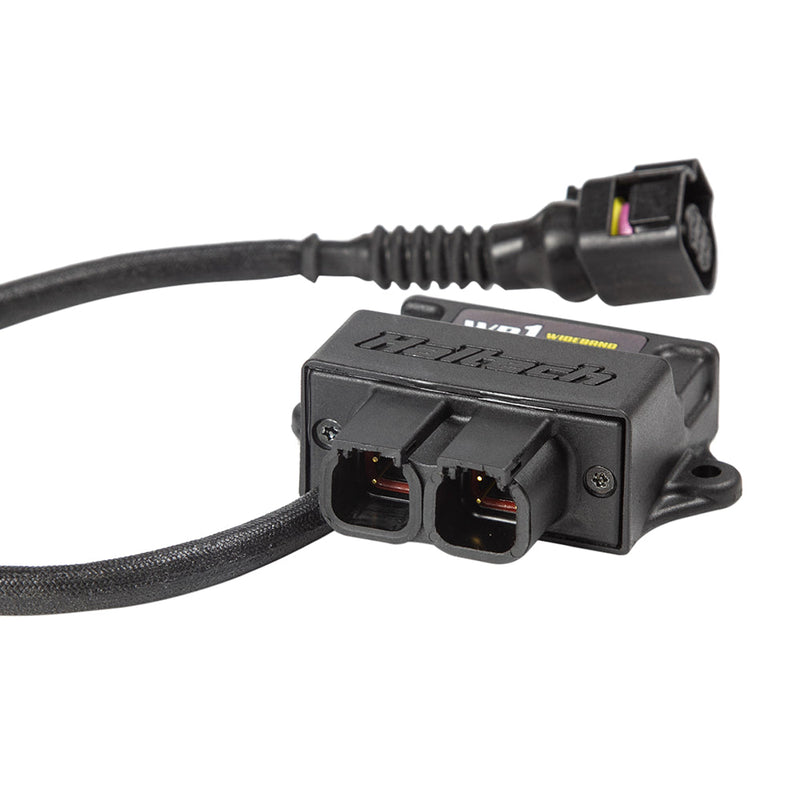 WB1 - Single Channel CAN O2 Wideband Controller Kit for Haltech ECU