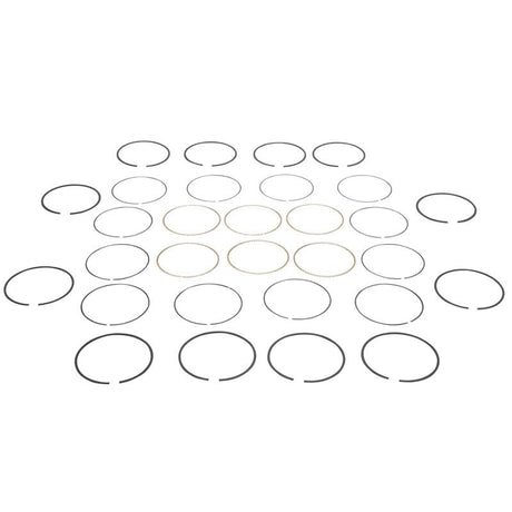 3800 Piston Rings