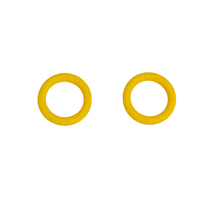 Lower Intake O-Rings