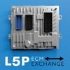 L5P Custom Tuning  L5P Tuning and selections are currently Available Far From Stock