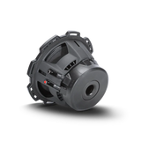 Rockford Fosgate P2D4-10 10" 300W RMS Subwoofer DVC 4-Ohm Rockford Fosgate
