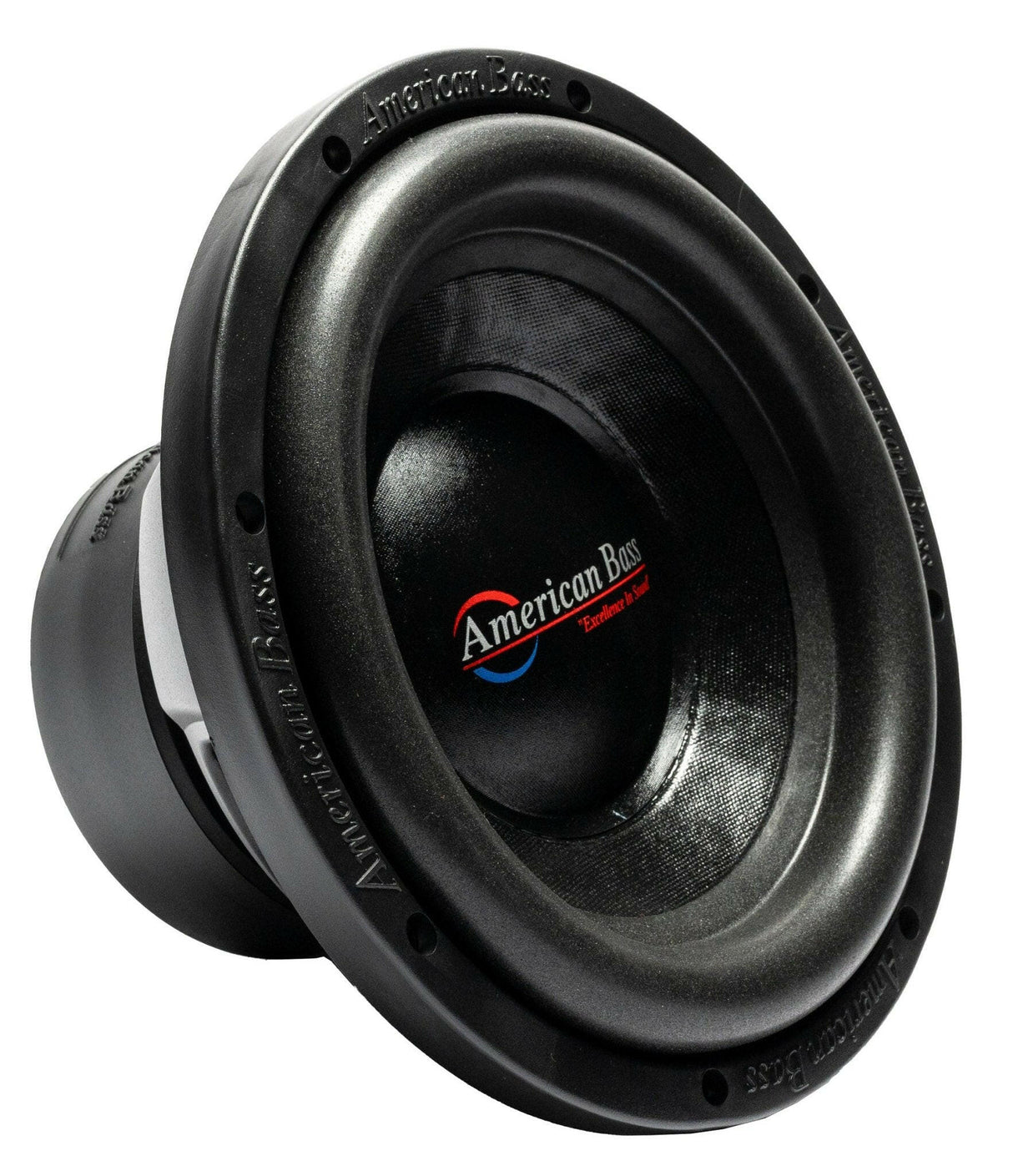 Power Pack: 2 DX 10 Subwoofers + VFL Hybrid 1900.1 Amplifier