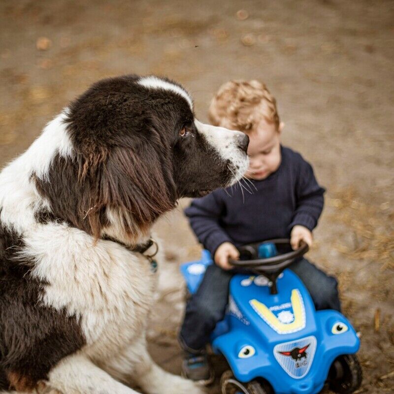 Rev Up Your Playtime with the Bobby Car Police Sound Rider