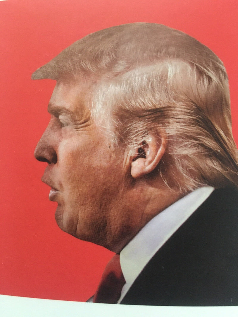 Left-Hand Drive Vehicle Trump Steering Wheel Cover