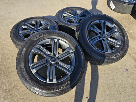 20" Ford F-150 FX-4 PLATINUM OEM rims wheels 10344 Expedition Texas Truck Tire