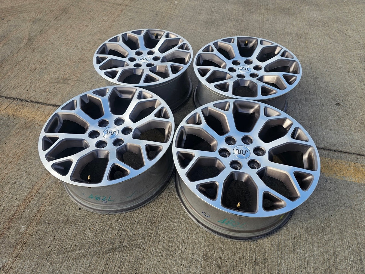 20" Ford F-150 KING RANCH OEM 10346 rims wheels Expedition 2024 2025 2026 Texas Truck Tire