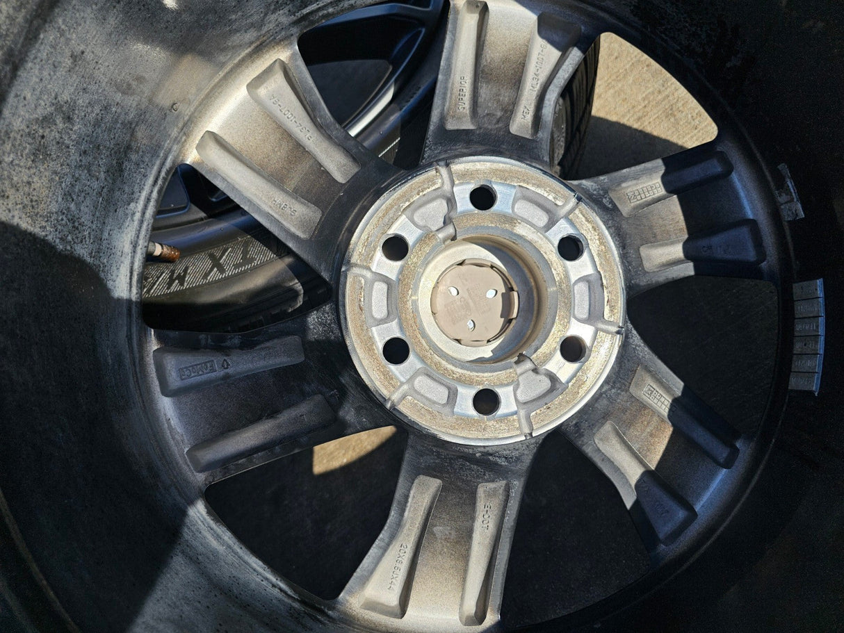 20" Ford F-150 FX-4 PLATINUM OEM rims wheels 10344 Expedition Texas Truck Tire