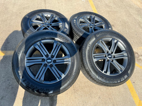20" Ford F-150 FX-4 PLATINUM OEM rims wheels 10344 Expedition GOODYEAR Texas Truck Tire
