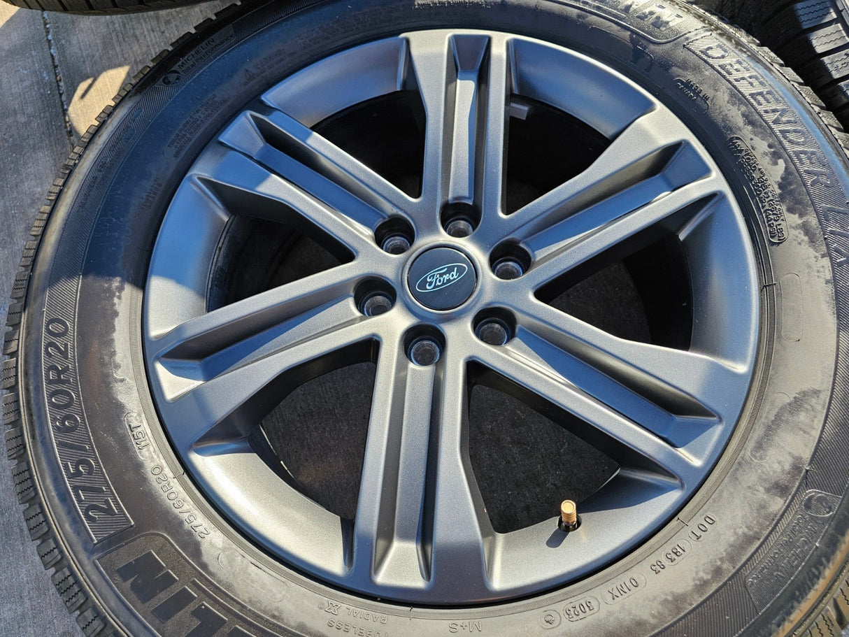 20" Ford F-150 FX-4 PLATINUM OEM rims wheels 10344 Expedition MICHELIN Texas Truck Tire