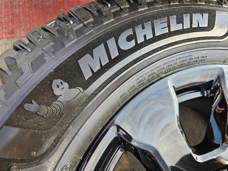 20" Ford F-250 F-350 OEM 10101 rims wheels NEW MICHELIN PLATINUM Texas Truck Tire