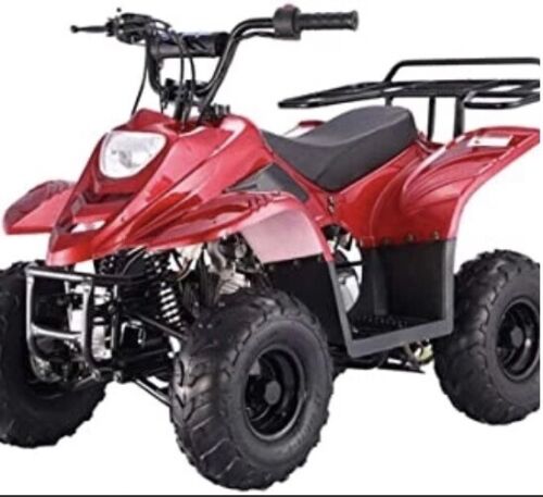 Kids All-Terrain Vehicle Gas Quad - ATA110