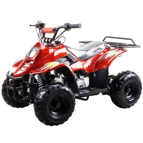 Youth Gas ATV with 110cc Engine
