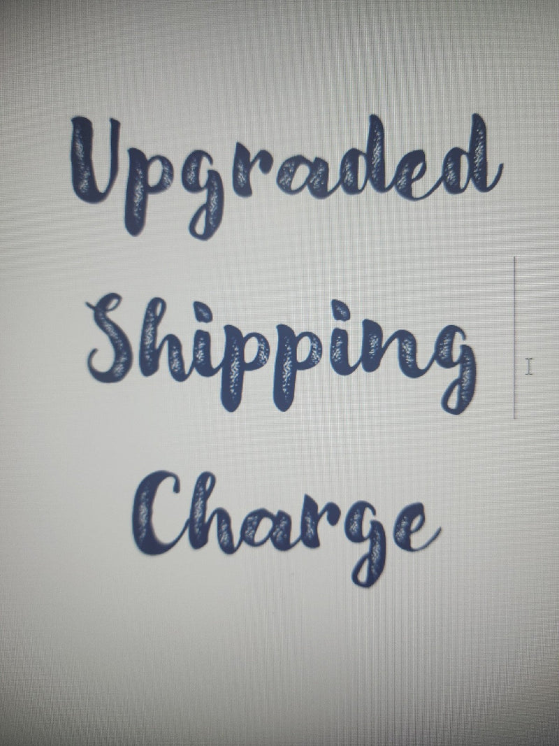 Priority Mail Upgrade Fee $3