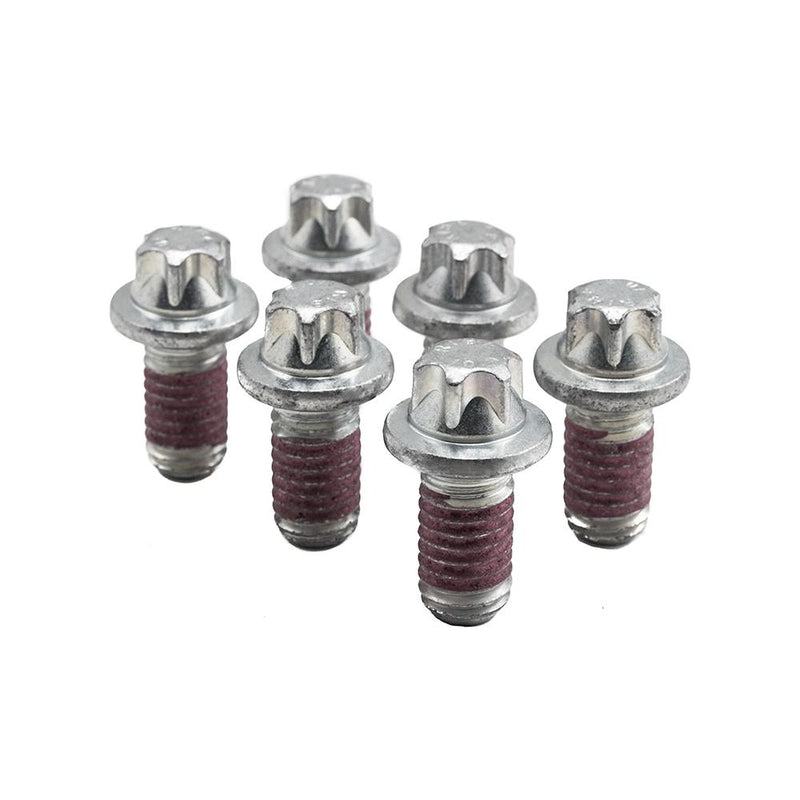 Ecotec Pressure Plate Bolts