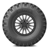 Alpha on 15x8 V06 BG