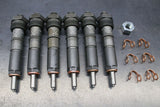 1994-1998 Cummins 5.9L Clean Custom Injector Set (DDP9498-SM)