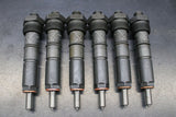 1994-1998 Cummins 5.9L Clean Custom Injector Set (DDP9498-SM)