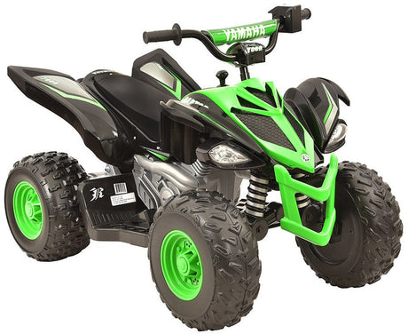 12 Volt Battery-Powered Raptor Ride-On with Custom Graphic Design