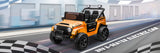 Kids Electric Ride-On Truck 24V 9AH Battery 4WD/2WD Power Car 2-Seater