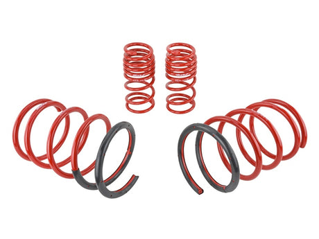 Ressorts d'abaissement Skunk2 02-05 Honda Civic Si Hatchback (2,25 po - 2,00 po) (ensemble de 4)