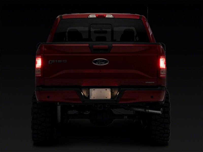 Lampes de plaque d'immatriculation de remplacement OEM Raxiom 15-23 Ford F-150 Axial Series