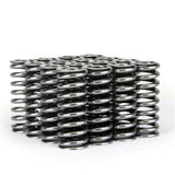 Ensemble de ressorts de soupape Skunk2 Alpha Series Honda D Series VTEC