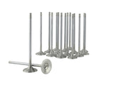 Ensemble de soupapes de série D de taille standard Honda/Acura de la série Alpha de Skunk2 (compression standard)