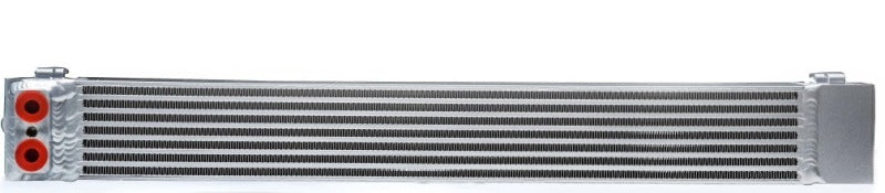 Refroidisseur d'huile à double passage CSF 00-06 pour BMW M3 (E46) Race-Spec