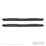 Westin 2019 Ram 1500 Quad Cab (Excl Classic) PRO TRAXX 5 Oval Nerf Step Bars - Black
