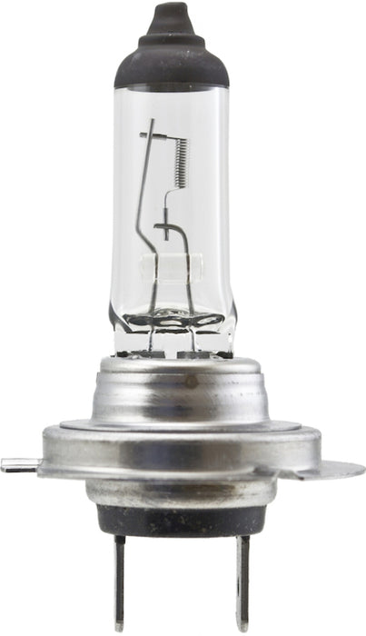 Ampoule haute puissance Hella H7 12V 100W PX26d T4.6