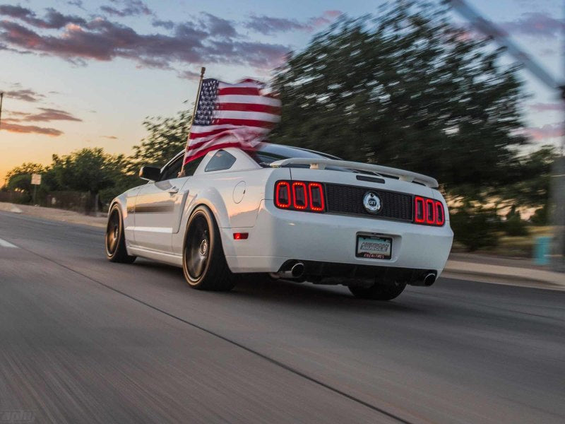 Feux arrière Raxiom 05-09 Ford Mustang Gen5 - Boîtier noir (lentille fumée)